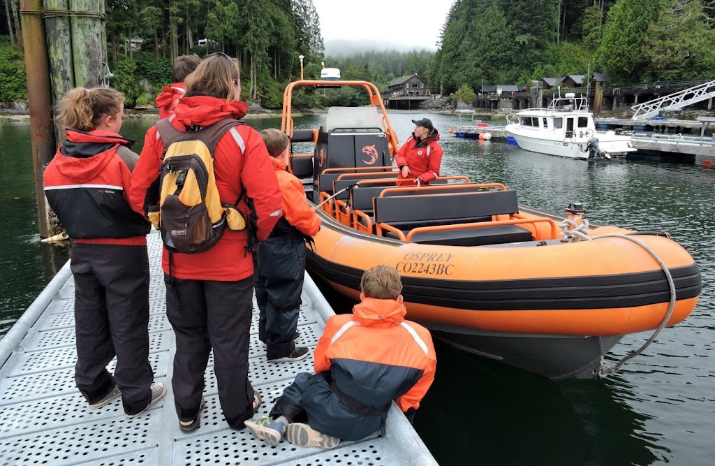 Orca Spirit Whale Watching Adventures | 17293 Parkinson Rd, Port Renfrew, BC V0S 1K0, Canada | Phone: (250) 383-8411