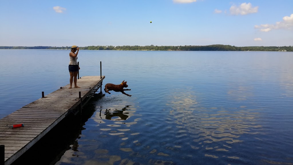 Smugglers Cove | 3187 County Rd 13, Picton, ON K0K 2T0, Canada | Phone: (613) 476-4125
