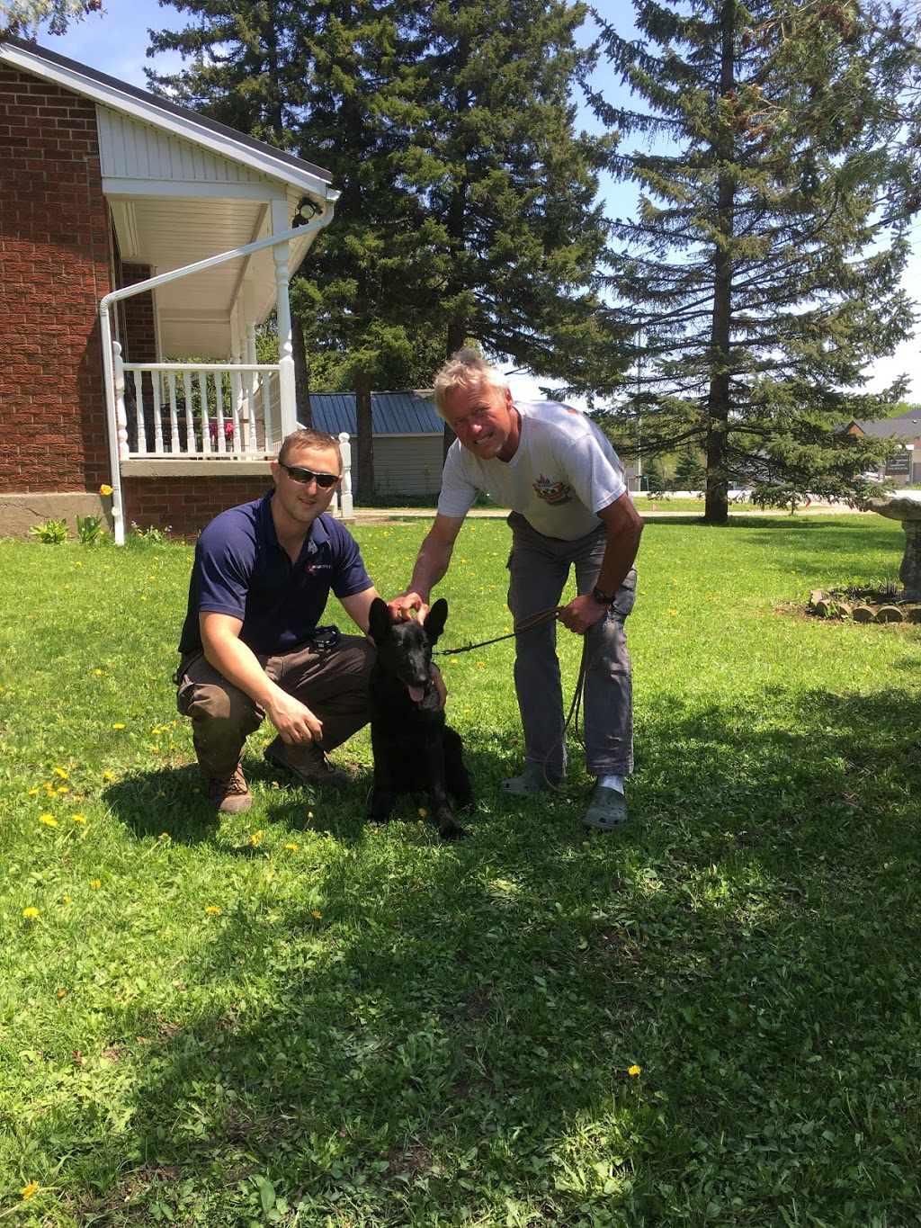 RadioPet Hidden Dog Fencing | 287 Leiterman Dr, Milton, ON L9T 8B9, Canada | Phone: (519) 500-6882