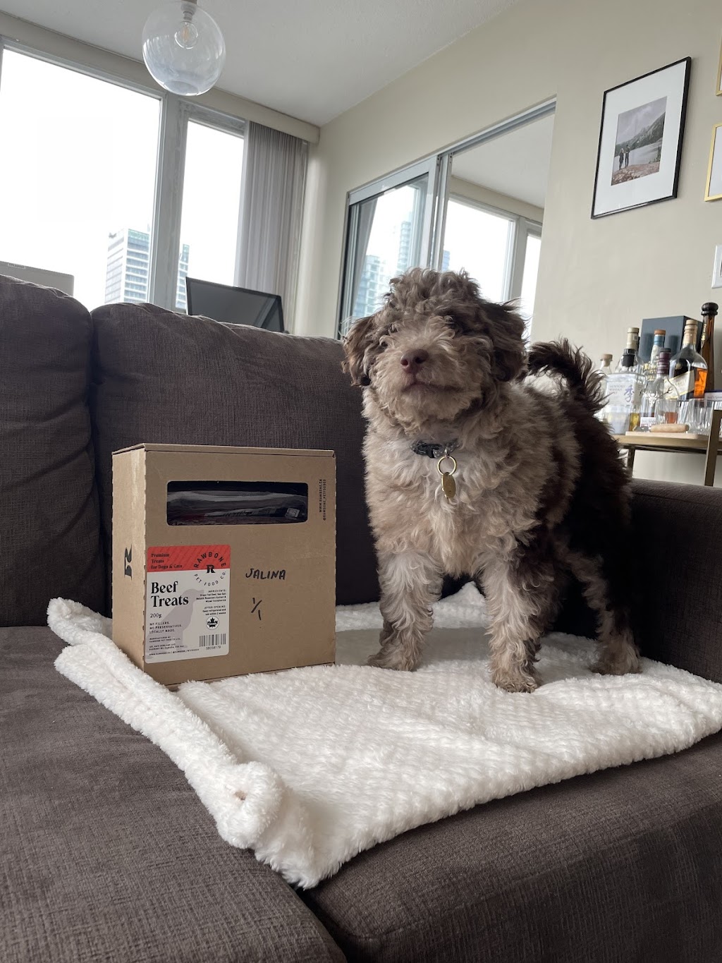 Rawbone Pet Food Co Ltd | 3070 Norland Ave #105, Burnaby, BC V5B 3A6, Canada | Phone: (778) 855-4534