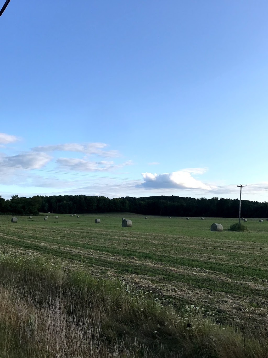 CBM Codrington Pit | 2851 County Rd 30, Codrington, ON K0K 1R0, Canada | Phone: (613) 475-4595