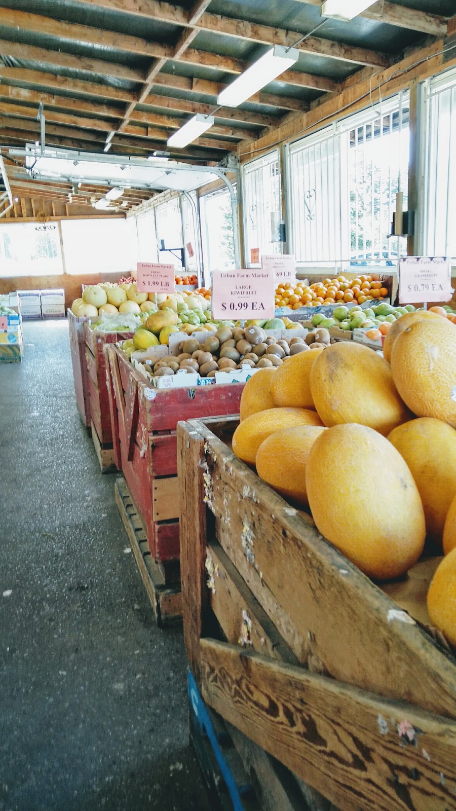 Urban Farm Market | 11900 Westminster Hwy, Richmond, BC V6X 1B3, Canada | Phone: (604) 279-8845