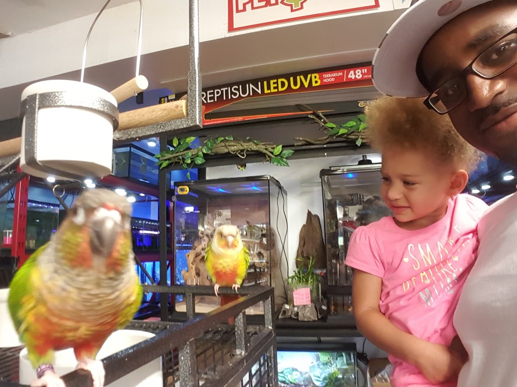 AquA AnimaniA Pet | 5400 Tecumseh Rd E #10, Windsor, ON N8T 1C7, Canada | Phone: (519) 946-2782