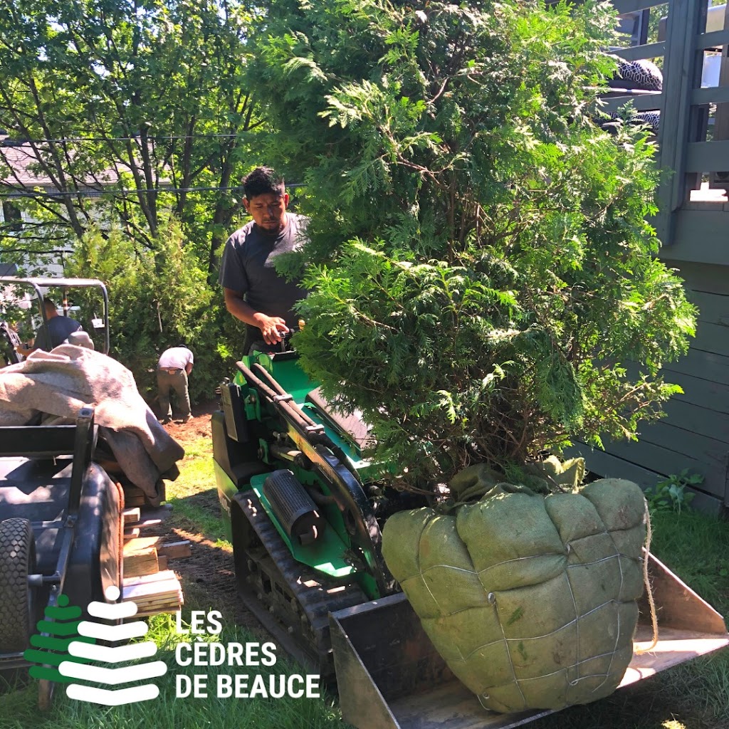 Cedars Beauce Inc. | 2013 Rte du Président-Kennedy, Saint-Isidore, QC G0S 2S0, Canada | Phone: (418) 882-6271