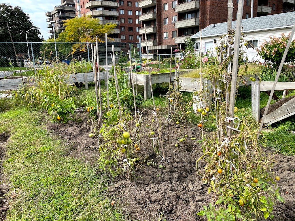 Côte-Saint-Luc Senior’s Garden | 6868 Chem. Norwalk, Côte Saint-Luc, QC H4W 2X6, Canada | Phone: (514) 485-6806