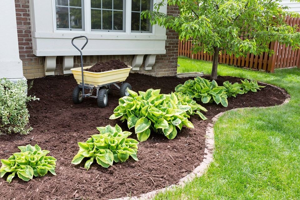 Ontario Landscaping Experts | 183 Lake Ave N, Hamilton, ON L8E 1L5, Canada | Phone: (289) 683-3944