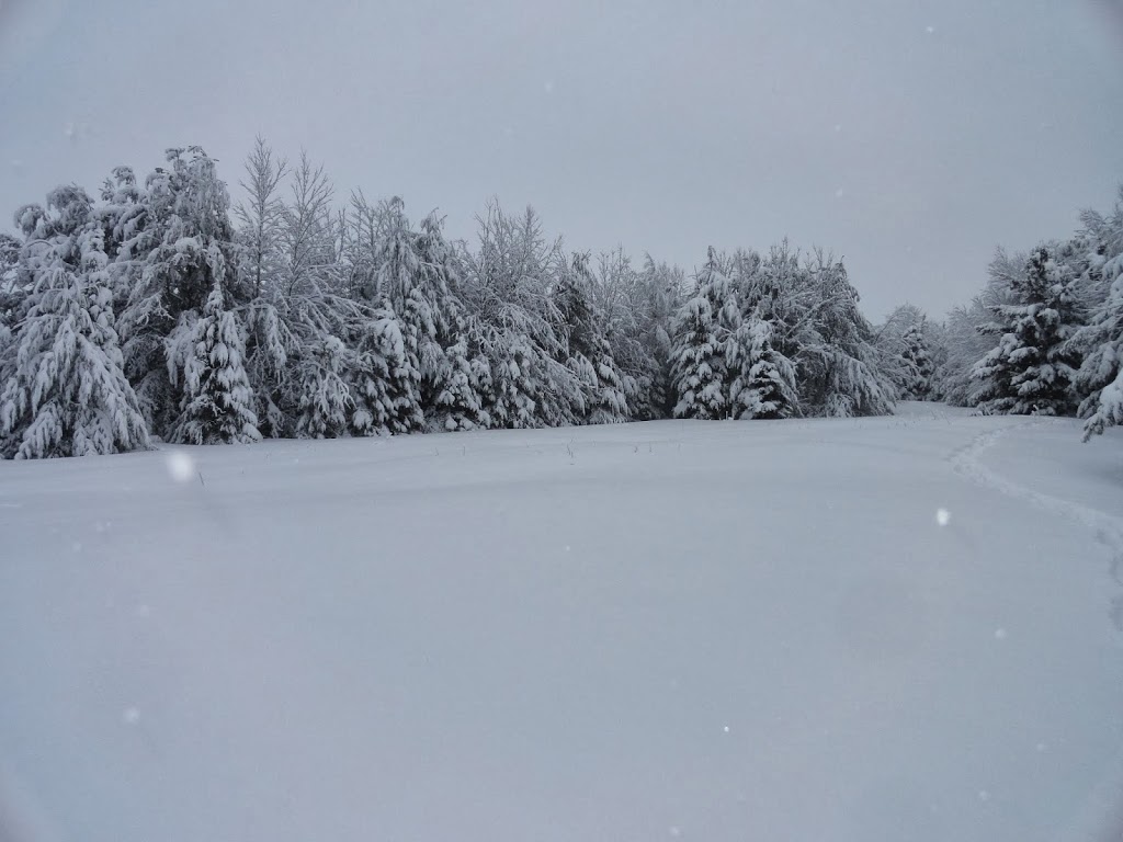 Jardins la brouette | 168 Rang du Chenal Tardif, Pierreville, QC J0G 1J0, Canada | Phone: (819) 816-8667