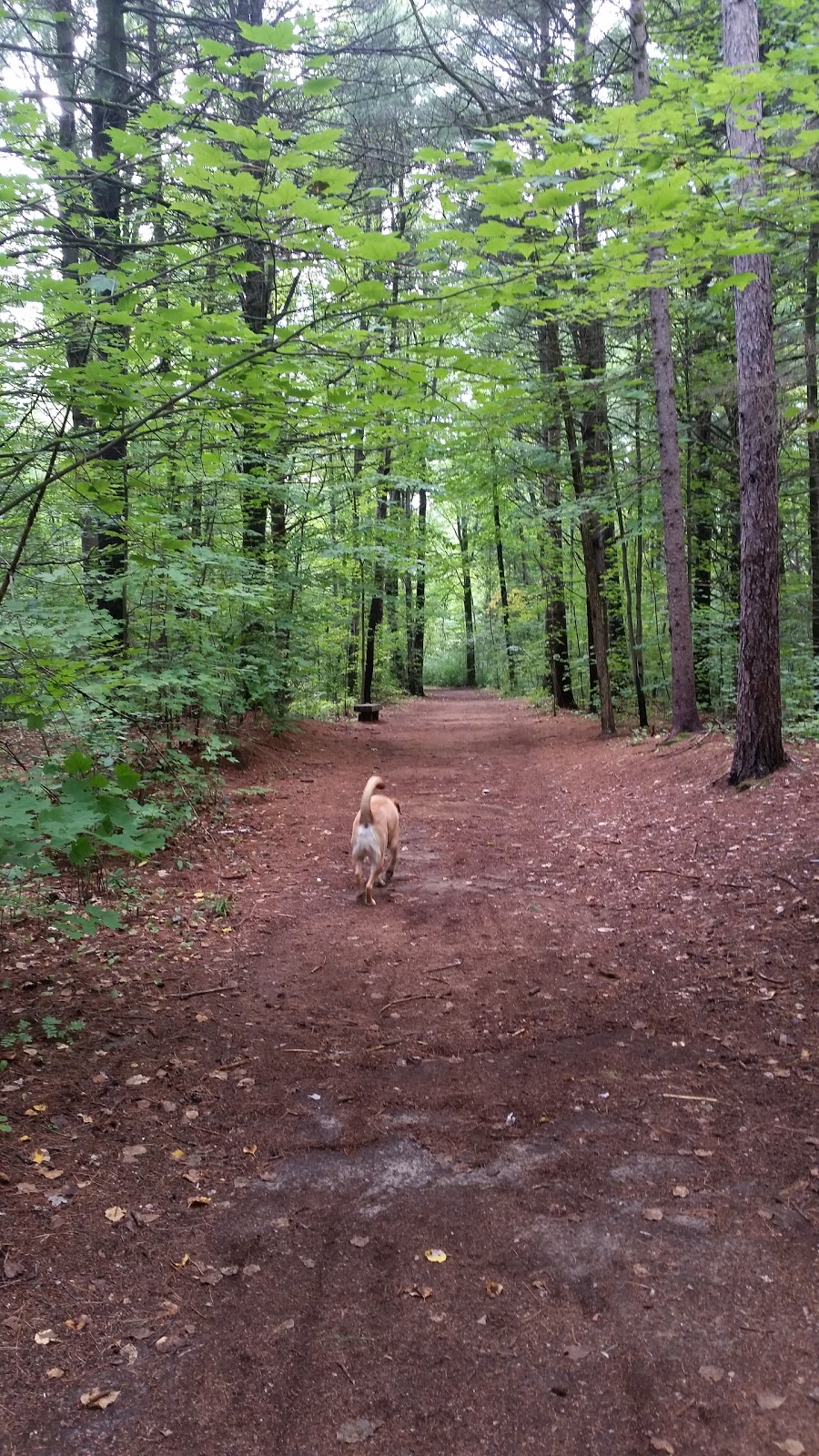 Grenfell Glen Park | Merivale Gardens - Grenfell Glen - Pineglen - Country Place, Ottawa, ON K2G, Canada