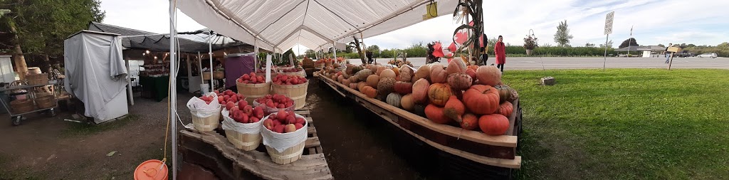 Niagara Quality Fruit | 667 Regional Rd 87, Niagara-on-the-Lake, ON L0S 1J0, Canada | Phone: (905) 347-3700