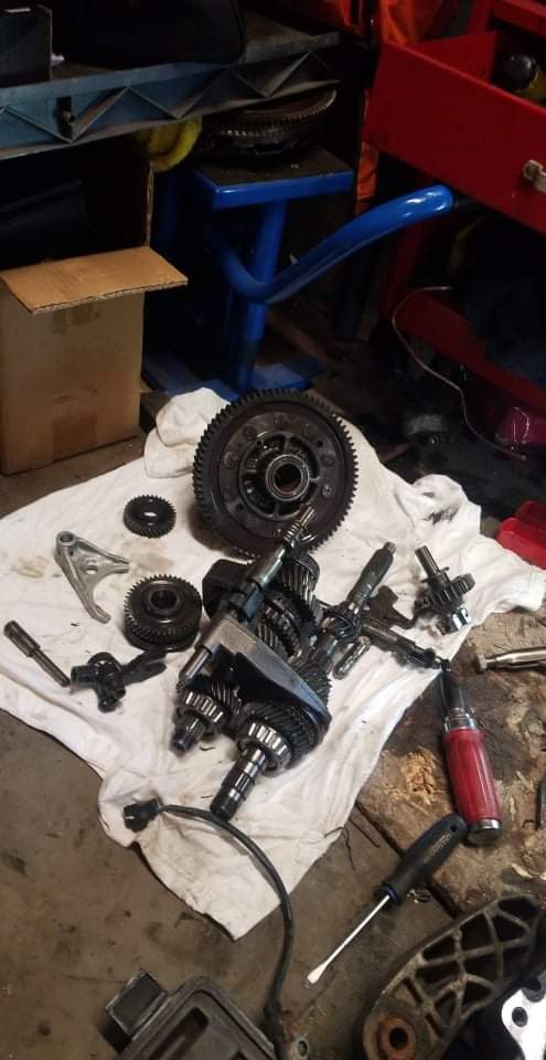 Hamilton mobile mechanic | 312 Aberdeen Ave, Hamilton, ON L8P 2R5, Canada | Phone: (289) 208-5444