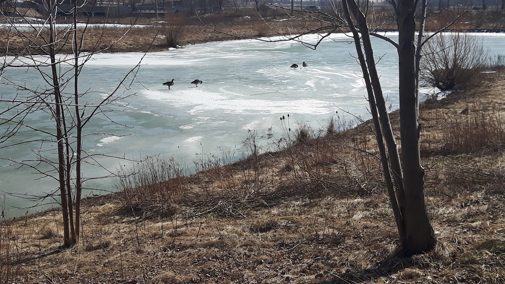 Johnny Bower Park | 3919 Parkgate Dr, Mississauga, ON L5N 7B4, Canada | Phone: (647) 287-0000