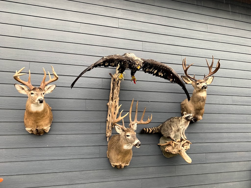 Bear Paw Taxidermy Studios | 11324 Larsen St, Mission, BC V4S 1L1, Canada | Phone: (604) 220-4277