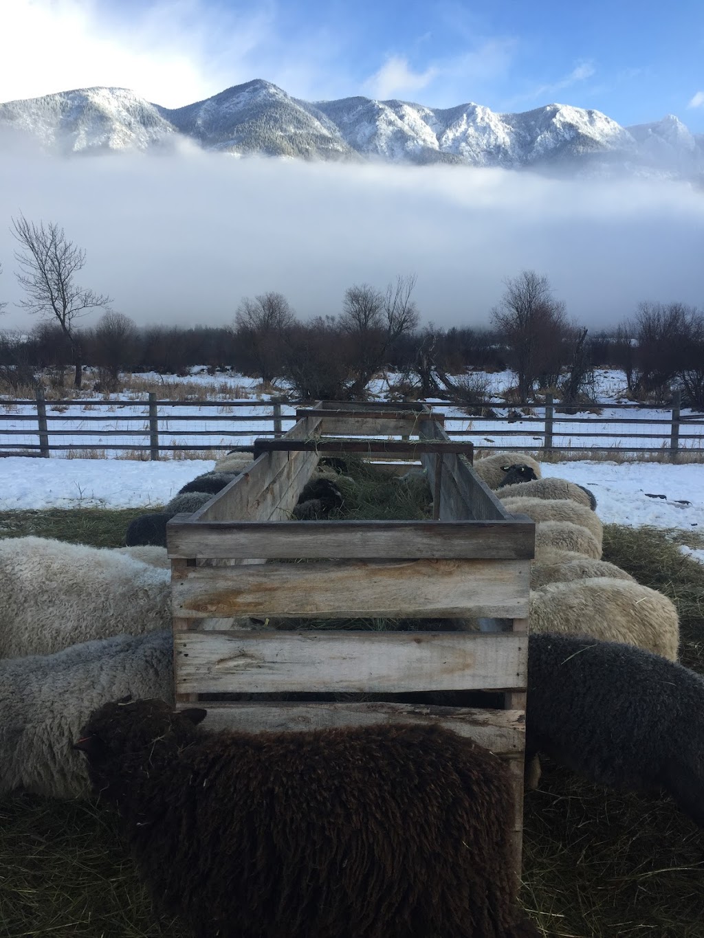 Riverside Farm | 2760 Brisco Rd, Brisco, BC V0A 1B0, Canada | Phone: (250) 219-9443