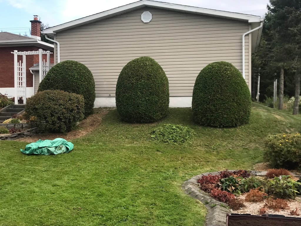 Taillage de haies Miguel Bedard | 3522 Chemin de North Hatley, Sherbrooke, QC J1N 0E5, Canada | Phone: (819) 437-8527