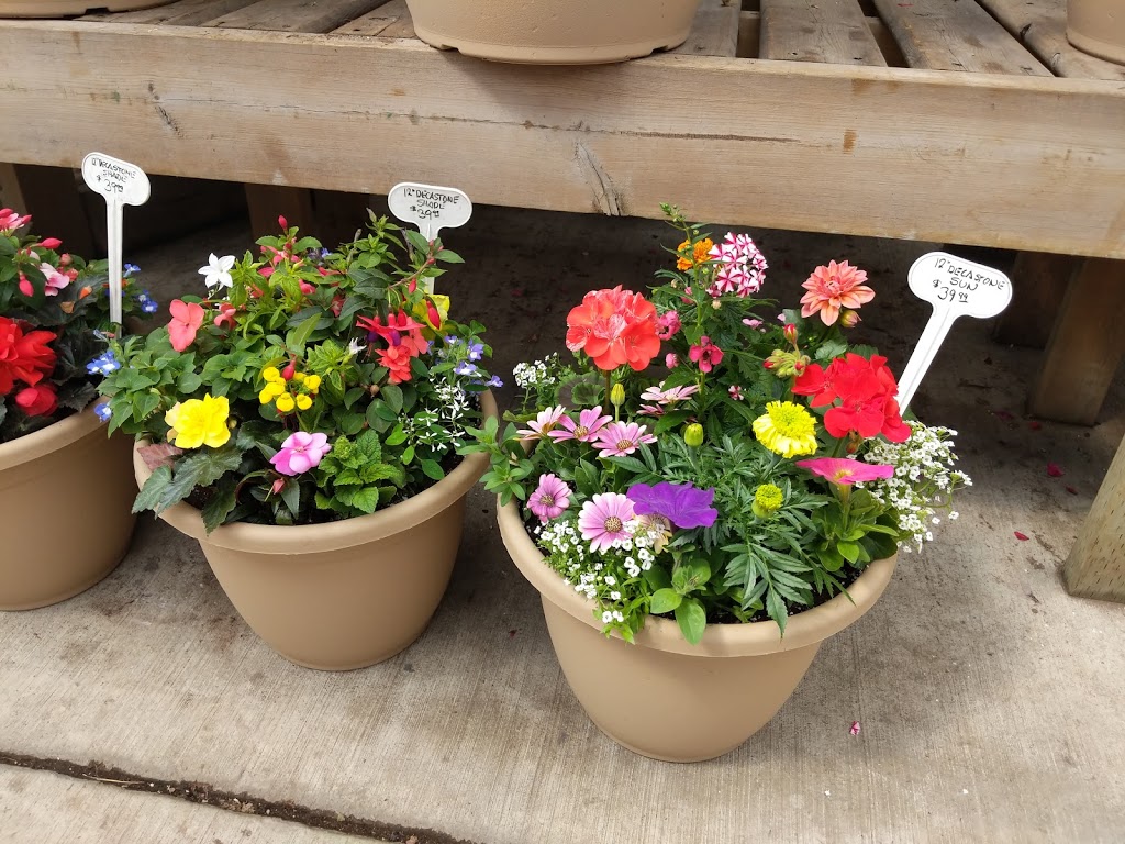 The Greenery Garden Centre | 2507 Longhill Rd, Kelowna, BC V1V 2G5, Canada | Phone: (250) 762-7411