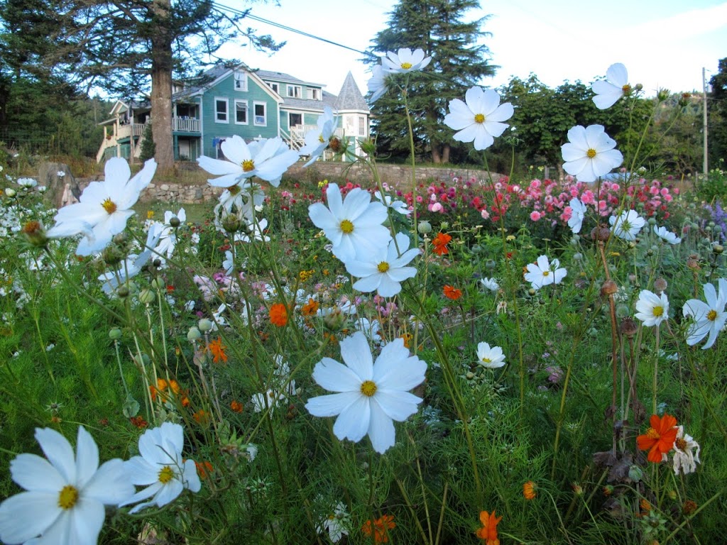 The Salt Spring Centre of Yoga | 355 Blackburn Rd, Salt Spring Island, BC V8K 2B8, Canada | Phone: (250) 537-2326