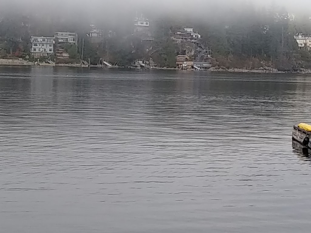 Oakwood Consulting Inc | 237 Turtlehead Rd, Belcarra, BC V3H 4P3, Canada | Phone: (604) 936-5161