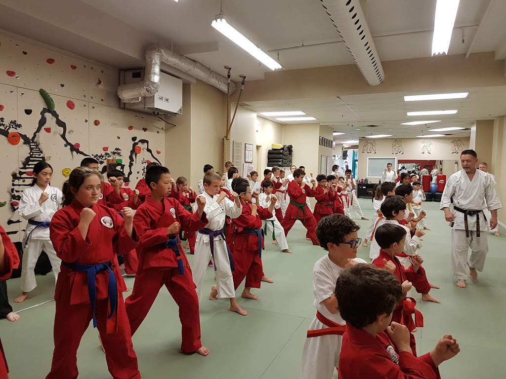 Toraguchi Martial Arts | 785 Pacific Rd Unit 15, Oakville, ON L6L 6M3, Canada | Phone: (905) 849-7625