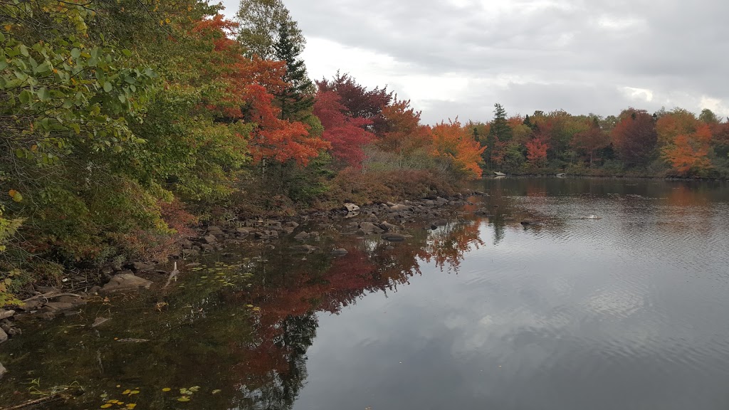 Cyril Smith Golden Acres Park | Dartmouth, NS B3A 4X8, Canada