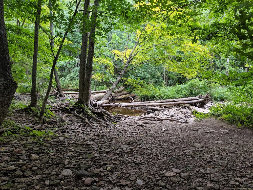Indian Falls Conservation Area | 318614 Grey Rd 1, Owen Sound, ON N4K 5N4, Canada | Phone: (519) 376-3076