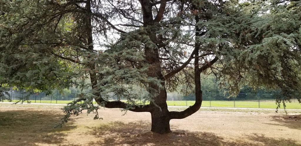 Camosun Park | 4102 W 16th Ave, Vancouver, BC V6R 3E3, Canada | Phone: (604) 873-7000