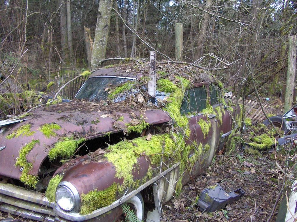 Bear Lake Salvage | canada, 4589 Lanes Rd, Cowichan Bay, BC V0R 1N2, Canada | Phone: (250) 710-7278
