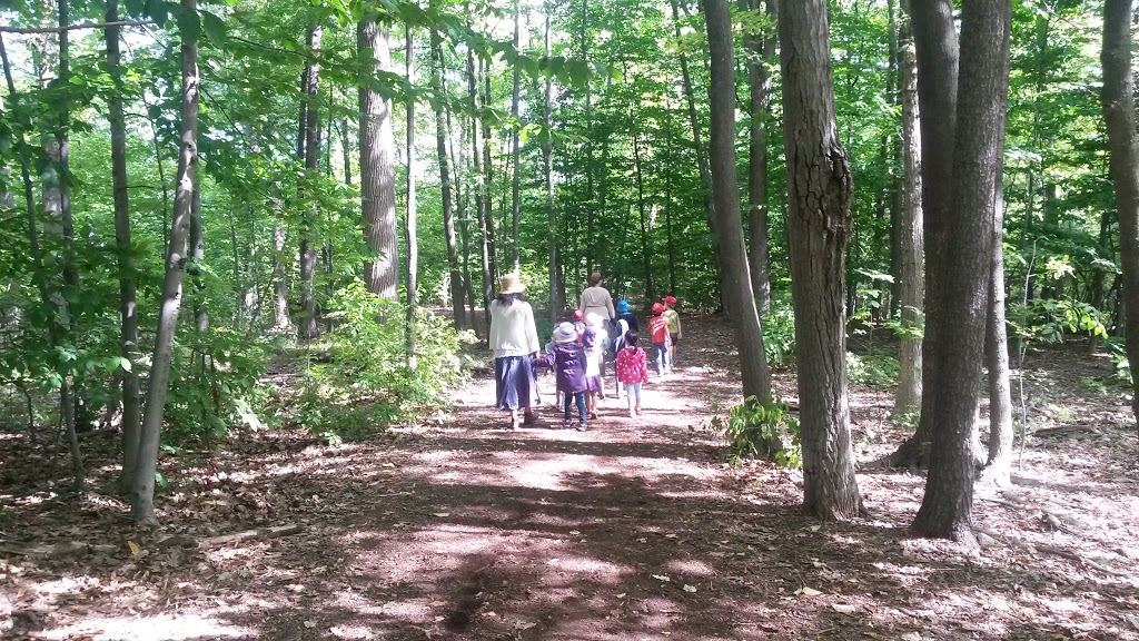 Halton Waldorf School | 2193 Orchard Rd, Burlington, ON L7R 3X5, Canada | Phone: (905) 331-4387