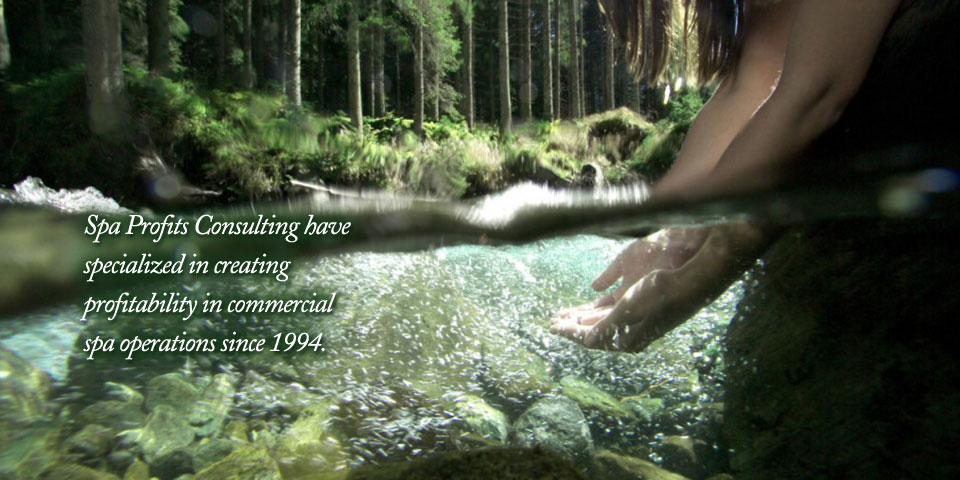 Spa Profits Consulting Inc | 70 Isleview Pl, Lions Bay, BC V0N 2E0, Canada | Phone: (604) 921-6245