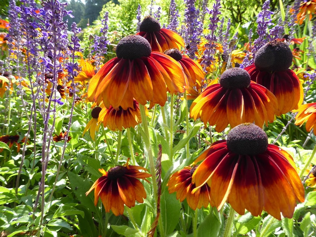 Frasers Market Flowers | 764 Russett Dr, Arnprior, ON K7S 3G8, Canada | Phone: (613) 322-4793