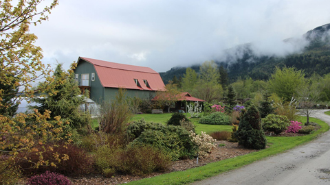 Cloud Mountain Farm Center Main Farm | 6906 Goodwin Rd, Everson, WA 98247, USA | Phone: (360) 966-5859