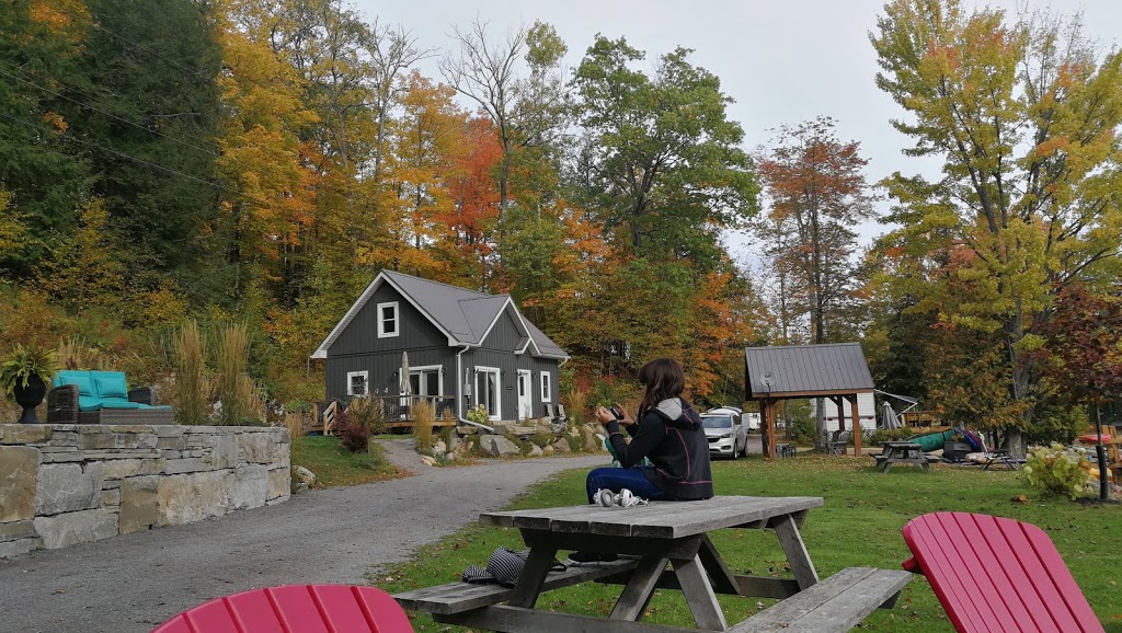 Jacks Lake Lodge Cottage Rentals | 1071 Jack Lake Rd, Apsley, ON K0L 1A0, Canada | Phone: (705) 656-9447
