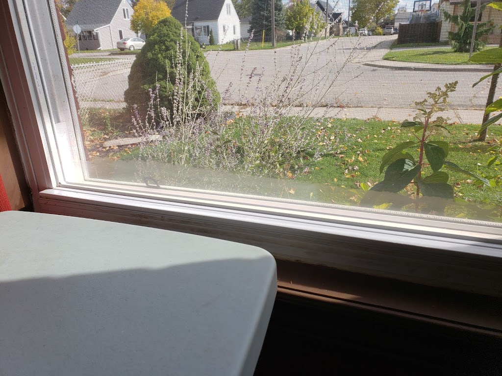 Hanksters Windows Siding & Doors | 134 Jerseyville Rd, Brantford, ON N3T 5M1, Canada | Phone: (519) 751-0648