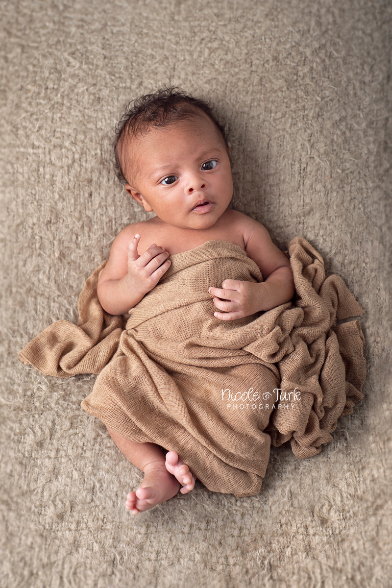 Nicole Turk Photography | 19 Wrenn Blvd, Bowmanville, ON L1C 4N1, Canada | Phone: (289) 675-2081