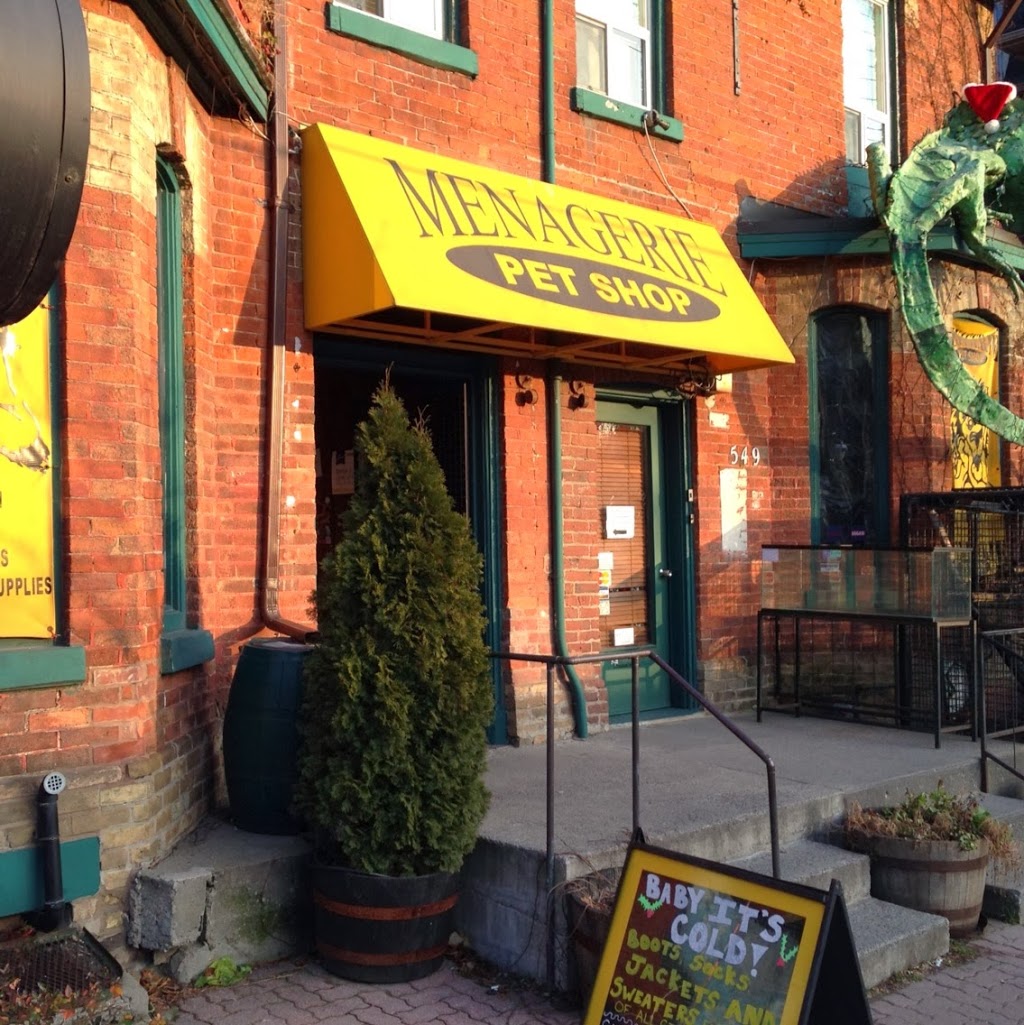 Menagerie Pet Shop | 549 Parliament St, Toronto, ON M4X 1P7, Canada | Phone: (416) 921-4966