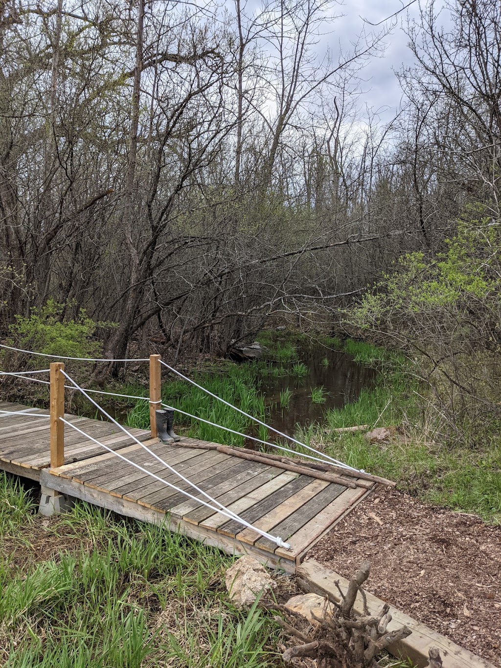 Out to Play Farm and Forest School | Davidsons Side Road, Ottawa, ON K2K 2Z4, Canada | Phone: (819) 318-0759