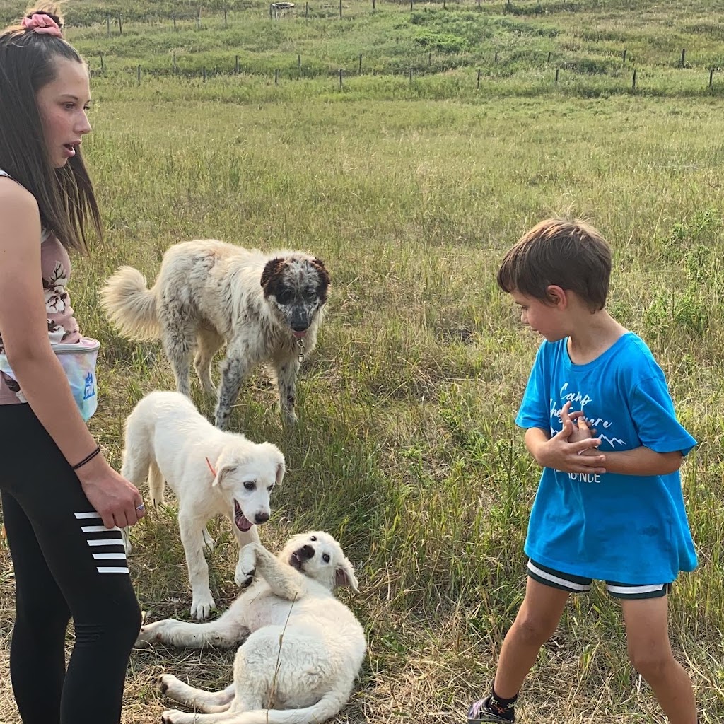 Regenera Ranch | 30229, Range Rd 291, AB T0M 0N0, Canada | Phone: (587) 318-3355