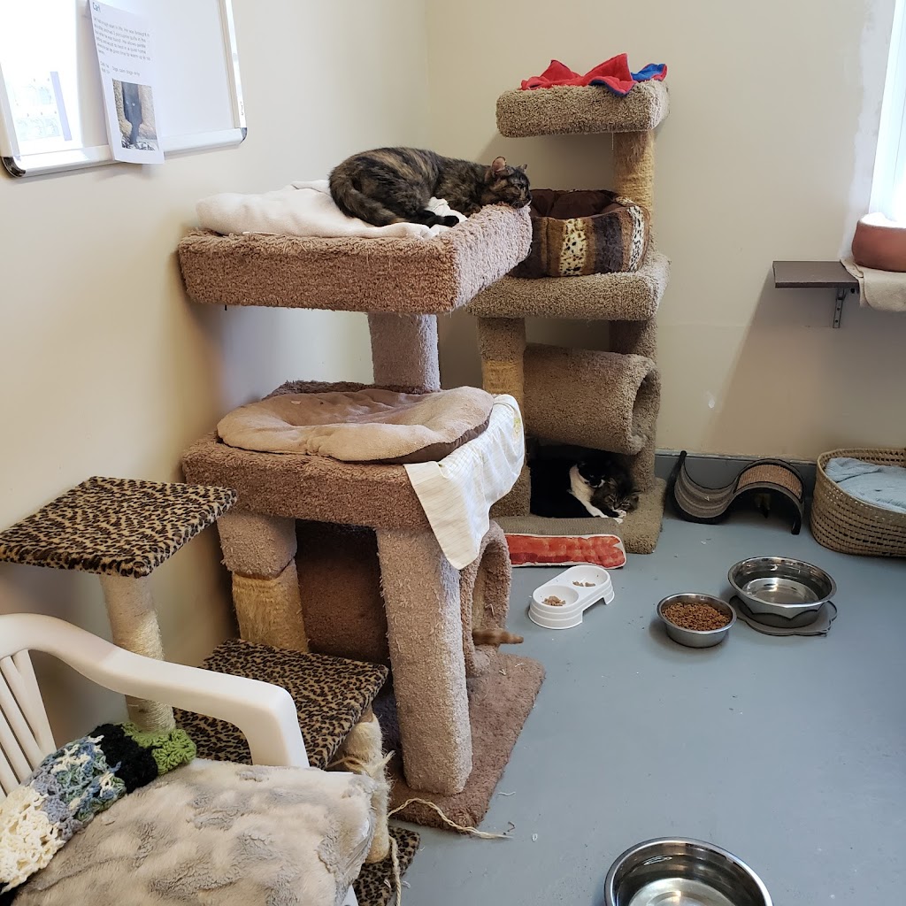 Upper Credit Humane Society | 5383 Trafalgar Rd, Erin, ON N0B 1T0, Canada | Phone: (519) 833-2287