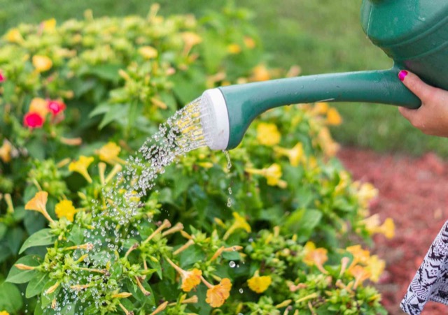 Dartmouth Landscaping Localturf | 9 Roblea Dr, Dartmouth, NS B2W 1Y6, Canada | Phone: (902) 702-3092