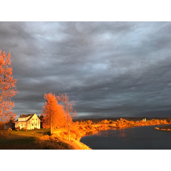 Hélène Fleury céramiste | 122 ch du, Chem. du Haut de la Rivière, Rivière-Ouelle, QC G0L 2C0, Canada | Phone: (418) 688-3000