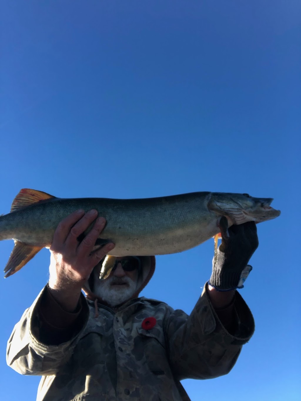 Fishing Hastings | 15 Gladstone St W, Madoc, ON K0K 2K0, Canada | Phone: (613) 473-5452