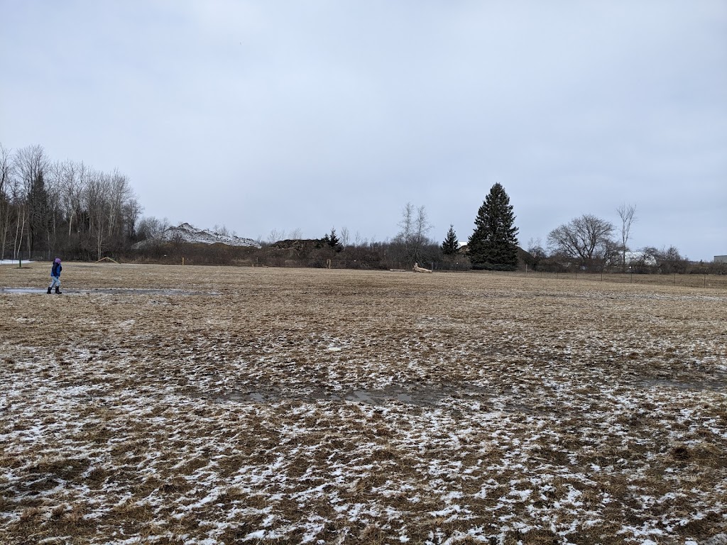 Country Canines Play Park - Carp Road | 8X8V+X6, Ottawa, ON K0A 1L0, Canada | Phone: (613) 878-2309