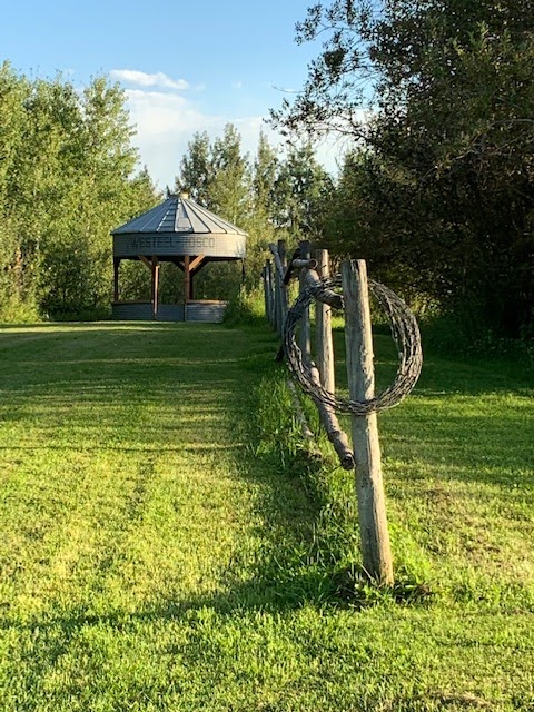 The Woven Willow | 470042 Rg Rd 280, Mulhurst, AB T0C 2C0, Canada | Phone: (780) 920-3056