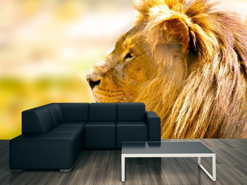 Majestic Wall Art | 1414 Hunter Ct # 7, Kelowna, BC V1X 6E6, Canada | Phone: (778) 478-9553
