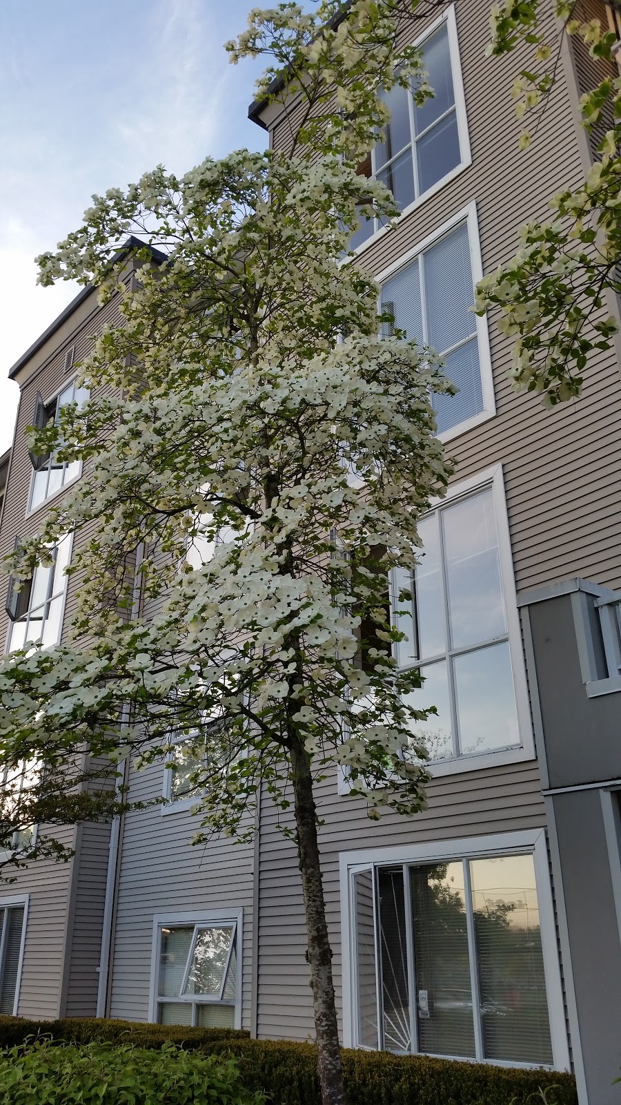 The Bradford | 3535 Crowley Dr, Vancouver, BC V5R 6G5, Canada | Phone: (604) 438-6911