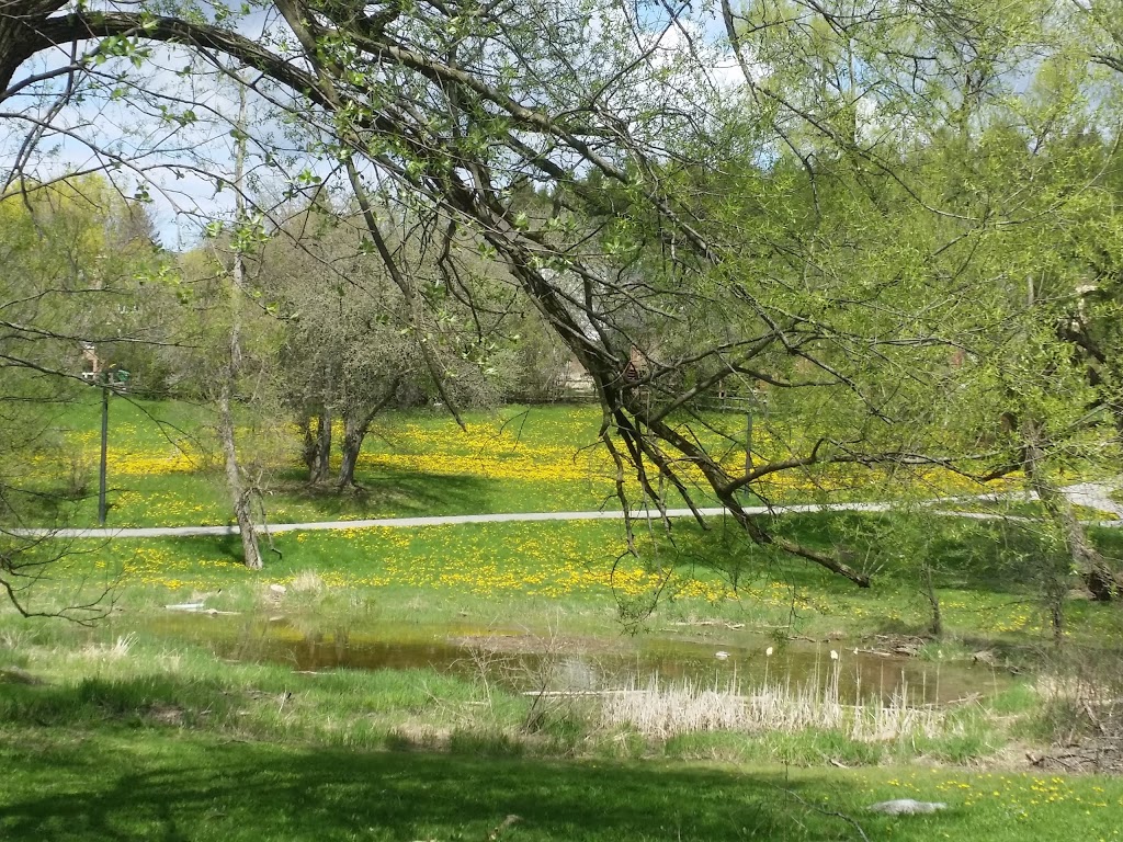 Beaufort Trail | Richmond Hill, ON L4E 2P9, Canada