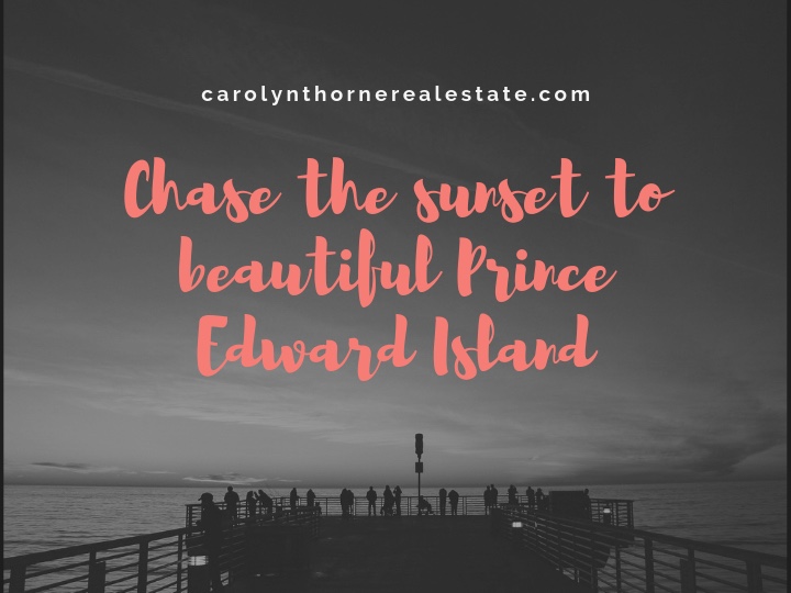Carolyn Thorne, REALTOR | 660 Water St E, Summerside, PE C1N 4J1, Canada | Phone: (902) 954-0878