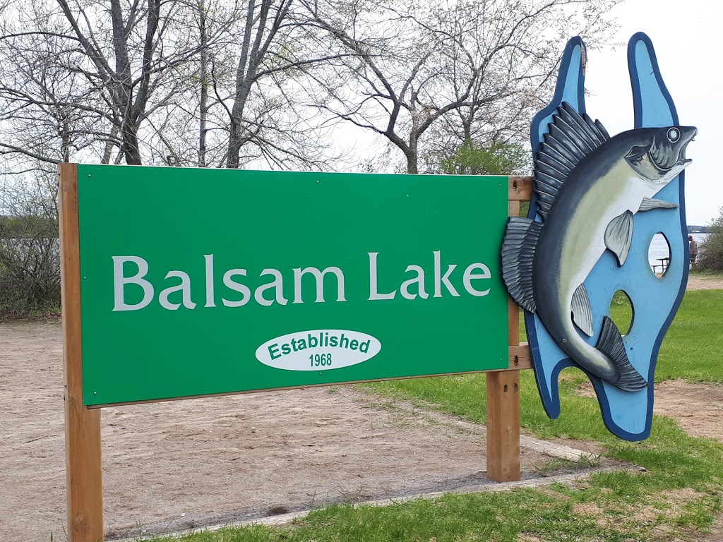 Balsam Lake Provincial Park | 2238 Kawartha Lakes County Rd 48, Kirkfield, ON K0M 2B0, Canada | Phone: (705) 454-3324