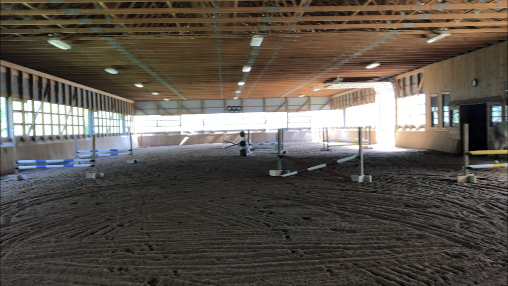 D7 Equestrian | 8285 Guelph Line, Campbellville, ON L0P 1B0, Canada | Phone: (416) 475-3754