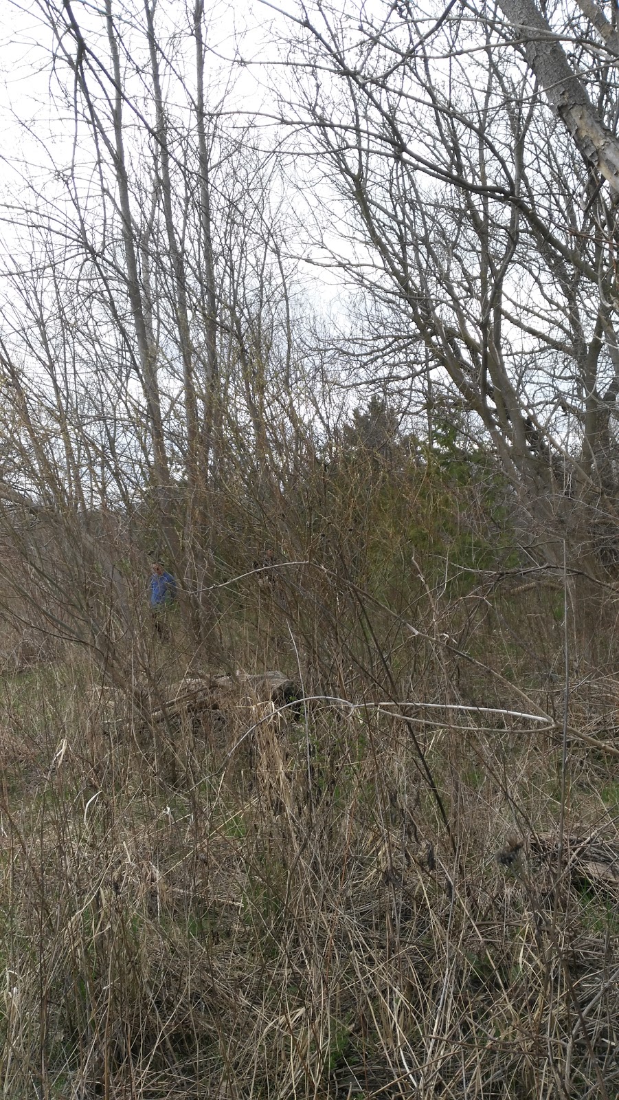Fleetwood Park | Mississauga, ON L4X 2S8, Canada