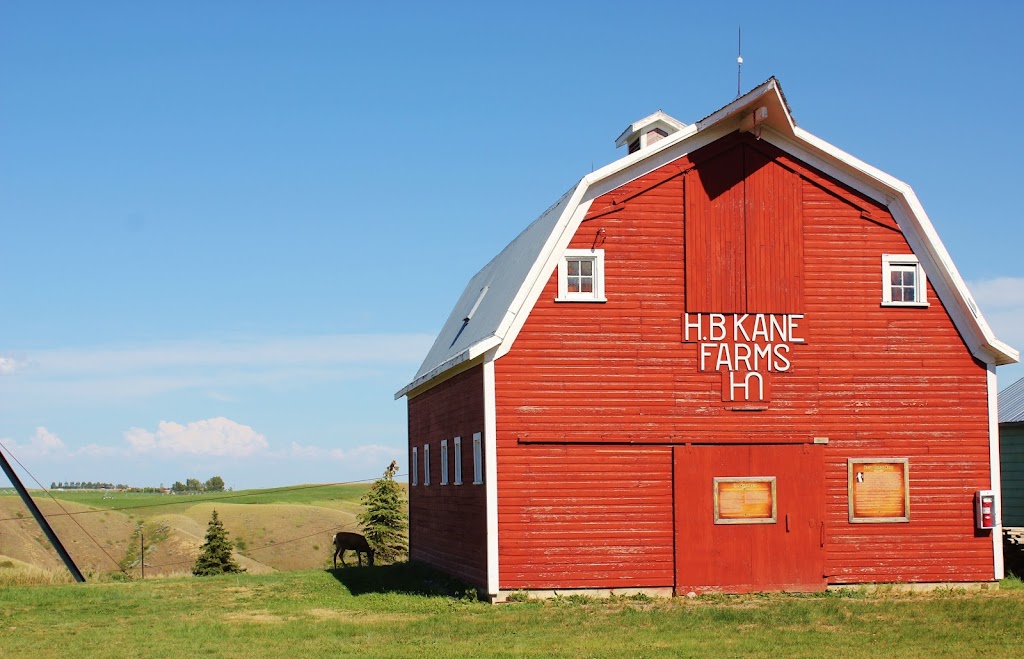 Prairie Tractor & Engine Museum | 104071, HWY 843, Picture Butte, AB T0K 1V0, Canada | Phone: (403) 732-5451